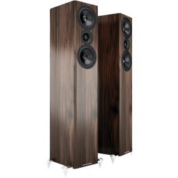 Acoustic Energy AE509 (Orzech / Walnut) - Kolumny podłogowe