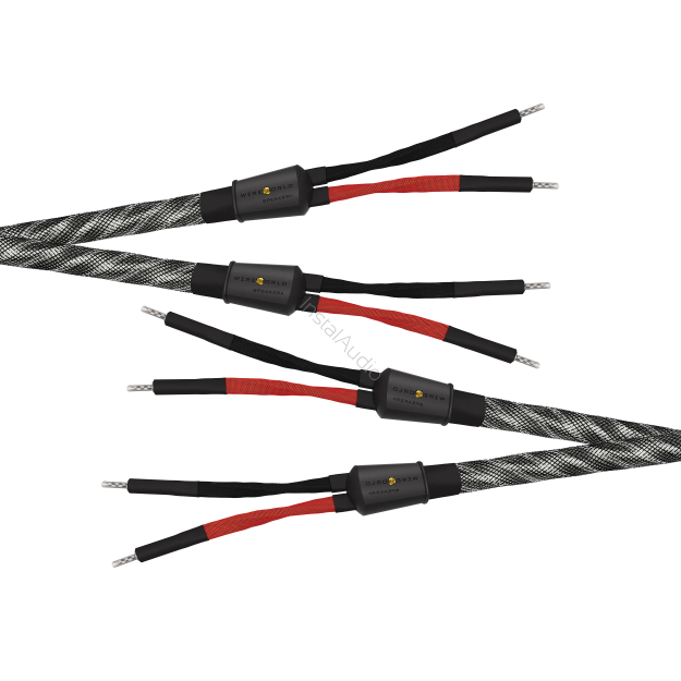 Wireworld Platinum Eclipse 10 Speaker Cable (Single-Wire) - 2x3.0m - Uni-Term Banana - Przewód głośnikowy - Raty 20x0% - Darmowa dostawa od 100 zł - PayPo - Leasing - Odsłuchy Konin - Specjalna oferta!
