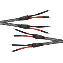 Wireworld Platinum Eclipse 10 Speaker Cable (Single-Wire) - 2x3.0m - Uni-Term Banana - Przewód głośnikowy - Raty 20x0% - Darmowa dostawa od 100 zł - PayPo - Leasing - Odsłuchy Konin - Specjalna oferta!