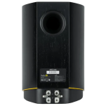 ARCAM R25 - Kolumny Podstawkowe - 2