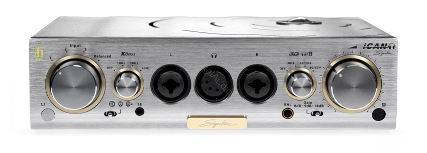 iFi Audio Pro iCAN Signature - Raty 20x0% - Darmowa dostawa od 100 zł - PayPo - Leasing - Odsłuchy Konin - Specjalna oferta!