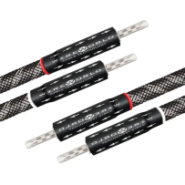 Wireworld Platinum Eclipse 10 Biwire Jumpers - Uni-Term Banana - Zworki Głośnikowe - Raty 20x0% - Darmowa dostawa od 100 zł - PayPo - Leasing - Odsłuchy Konin - Specjalna oferta!