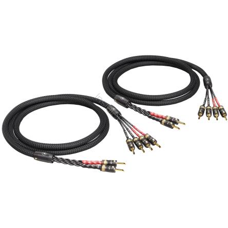 VIABLUE SC-4 Bi-Wire T8 Banana (Black) - 2x2.5m - 10206 - Przewód Głośnikowy - Raty 20x0% - Darmowa dostawa od 50 zł - PayPo - Leasing - Odsłuchy Konin - Specjalna oferta!