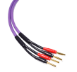 Melodika Purple Rain MDSC2560 - 2x6.0m - Raty 20x0% - Darmowa dostawa od 50 zł - PayPo - Leasing - Odsłuchy Konin - Specjalna oferta! - 2