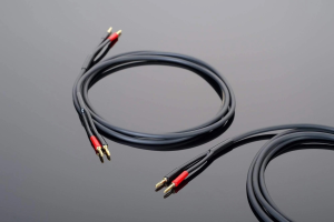 Transparent Hardwired Speaker Cable - 2x2.4m - Raty 20x0% - Darmowa dostawa od 100 zł - PayPo - Leasing - Odsłuchy Konin - Specjalna oferta!