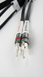 Tellurium Q Silver Diamond Speaker Cable - 2x4.0m - Przewód Głośnikowy - Raty 20x0% - Darmowa dostawa od 50 zł - PayPo - Leasing - Odsłuchy Konin - Specjalna oferta! - 4