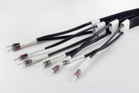Tellurium Q Silver Diamond Speaker Cable - 2x4.0m - Przewód Głośnikowy - Raty 20x0% - Darmowa dostawa od 100 zł - PayPo - Leasing - Odsłuchy Konin - Specjalna oferta! - 2