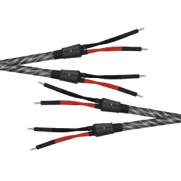 Wireworld Platinum Eclipse 10 Speaker Cable (Single-Wire) - 2x2.5m - Uni-Term Banana - Przewód głośnikowy - Raty 20x0% - Darmowa dostawa od 50 zł - PayPo - Leasing - Odsłuchy Konin - Specjalna oferta!