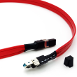 Wireworld Starlight 8 Cat 8 Ethernet - 1.5m - Przewód Ethernet - Raty 20x0% - Darmowa dostawa od 50 zł - PayPo - Leasing - Odsłuchy Konin - Specjalna oferta! - 5