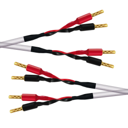 Wireworld Stream 10 Speaker Cable (Single-Wire) - 2x2.5m - Uni-Term Banana - Przewód głośnikowy - Raty 20x0% - Darmowa dostawa od 50 zł - PayPo - Leasing - Odsłuchy Konin - Specjalna oferta!