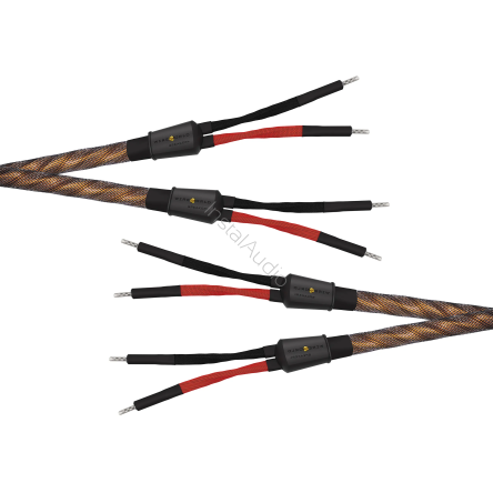 Wireworld Eclipse 10 Speaker Cable (Single-Wire) - 2x2.5m - Uni-Term Banana - Przewód głośnikowy - Raty 20x0% - Darmowa dostawa od 50 zł - PayPo - Leasing - Odsłuchy Konin - Specjalna oferta!