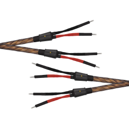 Wireworld Eclipse 10 Speaker Cable (Single-Wire) - 2x2.5m - Uni-Term Banana - Przewód głośnikowy - Raty 20x0% - Darmowa dostawa od 50 zł - PayPo - Leasing - Odsłuchy Konin - Specjalna oferta!
