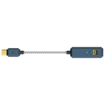 iFi Audio GO link 2 Max - Przenośny Przetwornik Cyfrowo-Analogowy (DAC) / Wzmacniacz Słuchawkowy -  - Raty 20x0% - Darmowa dostawa od 100 zł - PayPo - Leasing - Odsłuchy Konin - Specjalna oferta! - 2
