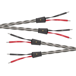 Wireworld Equinox 10 Speaker Cable (Single-Wire) - 2x2.0m - Uni-Term Banana - Przewód głośnikowy - Raty 20x0% - Darmowa dostawa od 50 zł - PayPo - Leasing - Odsłuchy Konin - Specjalna oferta!