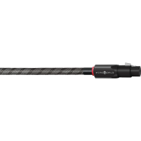 Wireworld Silver Eclipse 10 Audio Interconnect Cable - 2x2.0m - Interkonekt analogowy - 2x XLR - 2x XLR - Raty 20x0% - Darmowa dostawa od 100 zł - PayPo - Leasing - Odsłuchy Konin - Specjalna oferta!