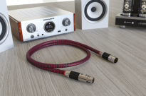 Ricable Invictus AES/EBU - 0.5m - Raty 20x0% - Darmowa dostawa od 100 zł - PayPo - Leasing - Odsłuchy Konin - Specjalna oferta! - 3
