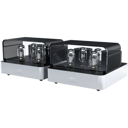 Fezz Audio Olympia Mono Power Amplifier (EVO) (Srebrny / Moonlight) - Końcówki mocy mono