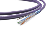 Melodika Purple Rain MDC1820 Ethernet - Cena za 1mb - Kabel Ethernet - Raty 20x0% - Darmowa dostawa od 100 zł - PayPo - Leasing - Odsłuchy Konin - Specjalna oferta! - 2