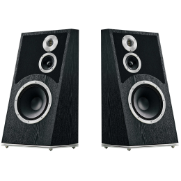 AudioVector Trapeze (Czarny / Black Ash) - Kolumny podłogowe - Raty 20x0% - Darmowa dostawa od 50 zł - PayPo - Leasing - Odsłuchy Konin - Specjalna oferta!