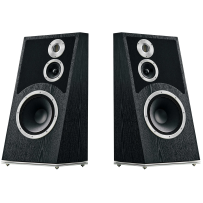 AudioVector Trapeze (Czarny / Black Ash) - Kolumny podłogowe - Raty 20x0% - Darmowa dostawa od 100 zł - PayPo - Leasing - Odsłuchy Konin - Specjalna oferta!