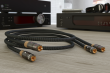 Ricable Magnus Signal - 2x0.5m - Raty 20x0% - Darmowa dostawa od 50 zł - PayPo - Leasing - Odsłuchy Konin - Specjalna oferta! - 4