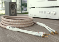 Ricable Dedalus Speaker Elite - 2x2.5m - Raty 20x0% - Darmowa dostawa od 100 zł - PayPo - Leasing - Odsłuchy Konin - Specjalna oferta! - 2