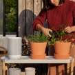Sonos Move White - Raty 20x0% - Darmowa dostawa od 50 zł - PayPo - Leasing - Odsłuchy Konin - Specjalna oferta! - 9