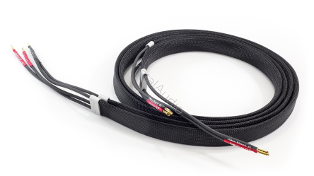 Tellurium Q Ultra Black II Speaker Cable - 2x2.0m - Przewód Głośnikowy - Raty 20x0% - Darmowa dostawa od 50 zł - PayPo - Leasing - Odsłuchy Konin - Specjalna oferta!