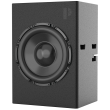 Starke Sound P Series PB24 - Profesjonalny Subwoofer Pasywny 24
