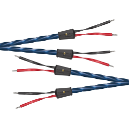 Wireworld Oasis 10 Speaker Cable (Single-Wire) - 2x2.5m - Uni-Term Banana - Przewód głośnikowy - Raty 20x0% - Darmowa dostawa od 50 zł - PayPo - Leasing - Odsłuchy Konin - Specjalna oferta!