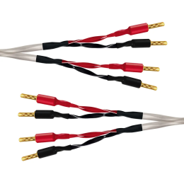 Wireworld Luna 10 Speaker Cable (Single-Wire) - 2x2.0m - Uni-Term Banana - Przewód głośnikowy - Raty 20x0% - Darmowa dostawa od 50 zł - PayPo - Leasing - Odsłuchy Konin - Specjalna oferta!