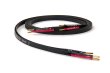 Tellurium Q Black II Speaker Cable - 2x3.0m - Przewód Głośnikowy - Raty 20x0% - Darmowa dostawa od 50 zł - PayPo - Leasing - Odsłuchy Konin - Specjalna oferta! - 3