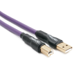 Melodika Purple Rain MDUAB03 - 0.3m - Raty 20x0% - Darmowa dostawa od 50 zł - PayPo - Leasing - Odsłuchy Konin - Specjalna oferta! - 2