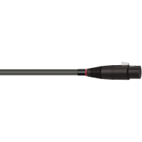 Wireworld Equinox 10 Audio Interconnect Cable - 2x1.0m - Interkonekt analogowy - 2x XLR - 2x XLR - Raty 20x0% - Darmowa dostawa od 100 zł - PayPo - Leasing - Odsłuchy Konin - Specjalna oferta!