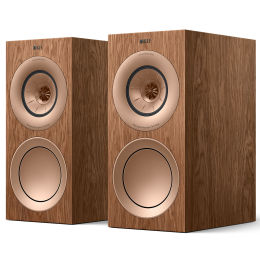 KEF R3 Meta Orzech / Walnut