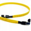 Wireworld Chroma 8 CAT 8 Ethernet - 0.5m - Przewód Ethernet - Raty 20x0% - Darmowa dostawa od 50 zł - PayPo - Leasing - Odsłuchy Konin - Specjalna oferta! - 2