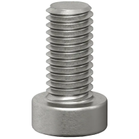 VIABLUE Screws (M8 x 16 FLAT) - Śruba Montażowa ze Stali Nierdzewnej (1 szt.) - Raty 20x0% - Darmowa dostawa od 100 zł - PayPo - Leasing - Odsłuchy Konin - Specjalna oferta!