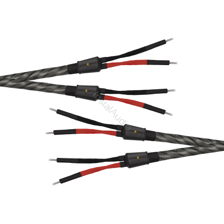 Wireworld Silver Eclipse 10 Speaker Cable (Single-Wire) - 2x3.0m - Uni-Term Banana - Przewód głośniko - Raty 20x0% - Darmowa dostawa od 50 zł - PayPo - Leasing - Odsłuchy Konin - Specjalna oferta!wyowy